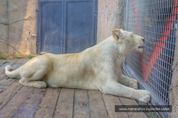 photo 1503492