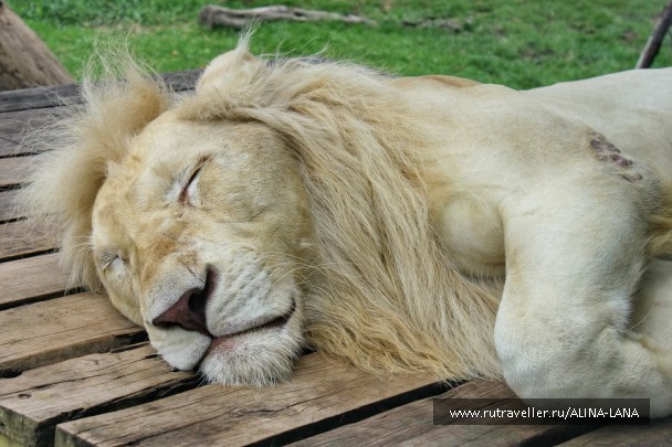 photo 1503493