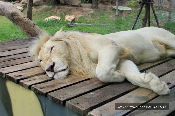 photo 1503494