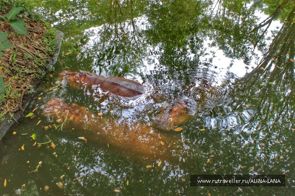 photo 1503506