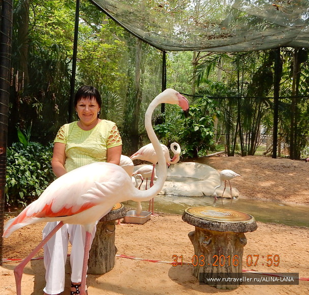 photo 1503512