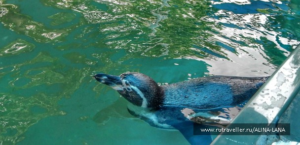 photo 1503513
