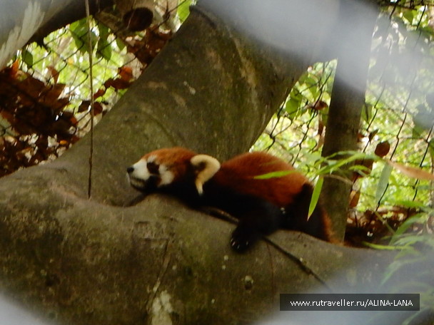 photo 1503516