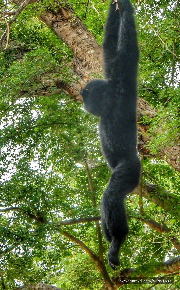 photo 1503518