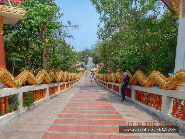 photo 1594793