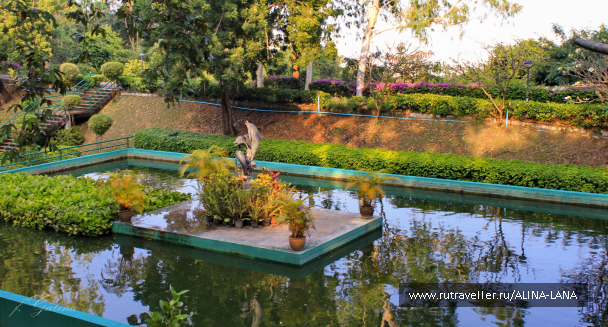 photo 665351