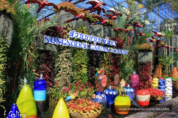 photo 677335