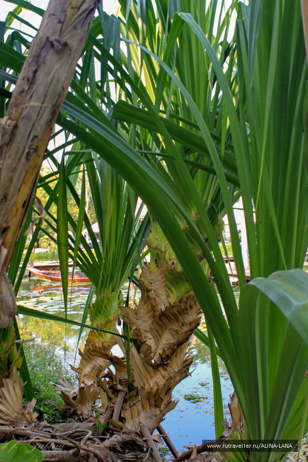 photo 683432