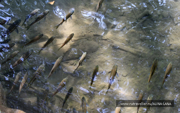 photo 694255