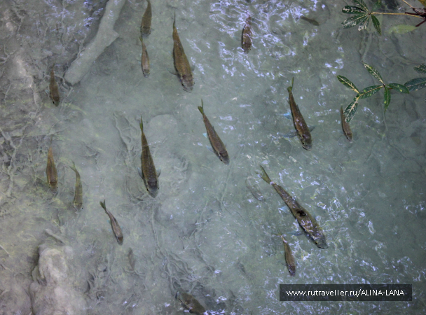 photo 694261