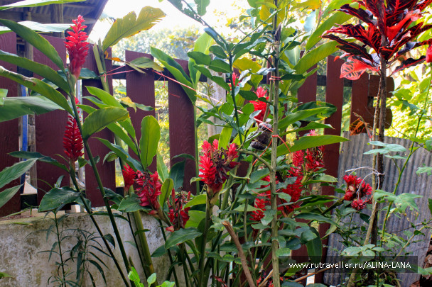 photo 694296