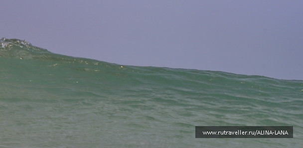 photo 1318188