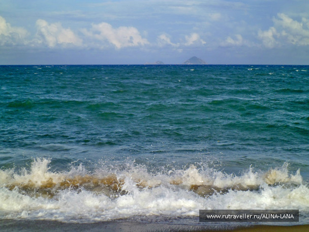 photo 650991