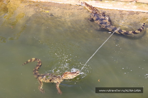 photo 1398179