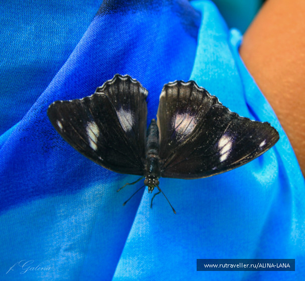 photo 1398220