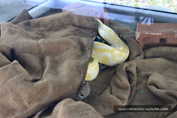 photo 1506976