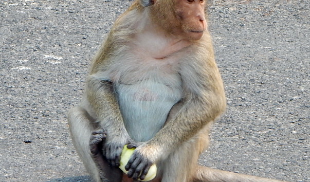 DSCN4038