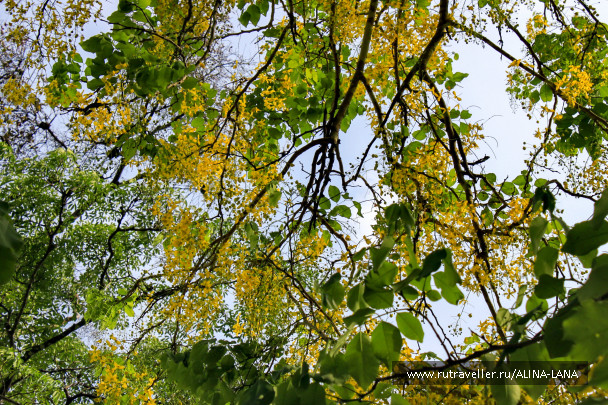 photo 719505
