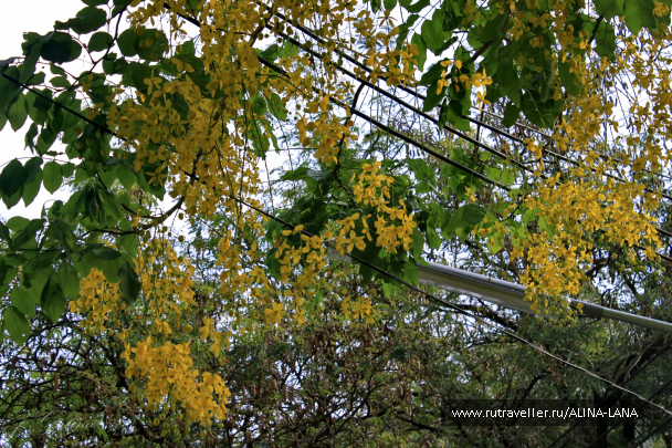 photo 719506