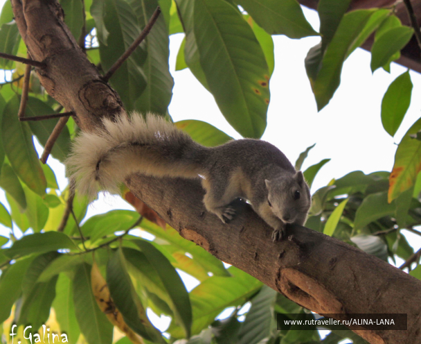 photo 675375