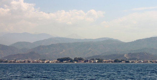 photo 833053