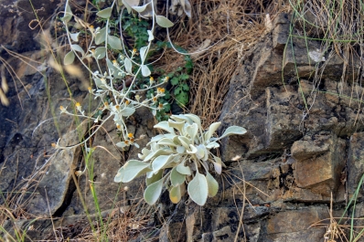 photo 833054