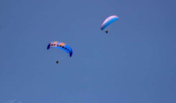 IMG_2864