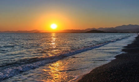 photo 877722