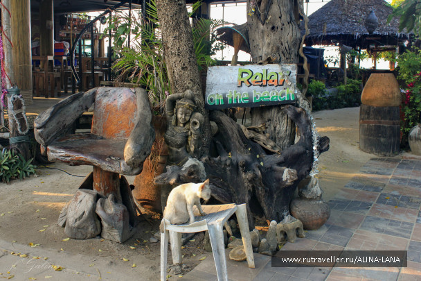 photo 727053