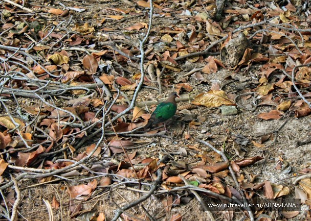 photo 743629