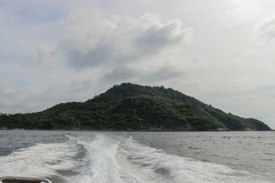 photo 937981