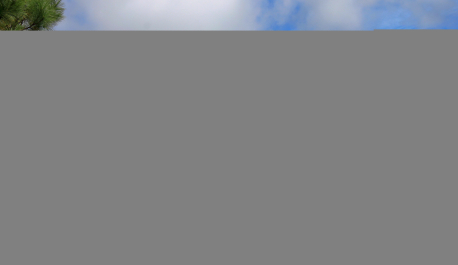 photo 1217665