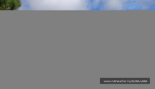 photo 1217665