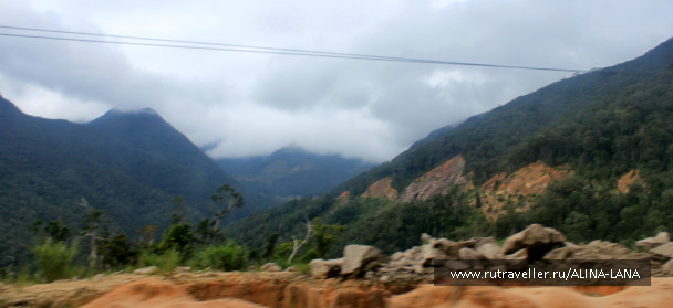 photo 1223894