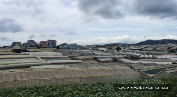 photo 1223931