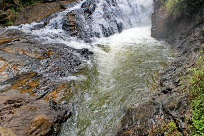 photo 304232
