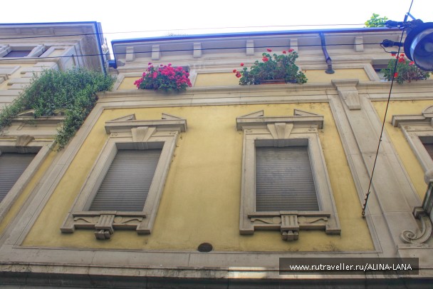 photo 1167612