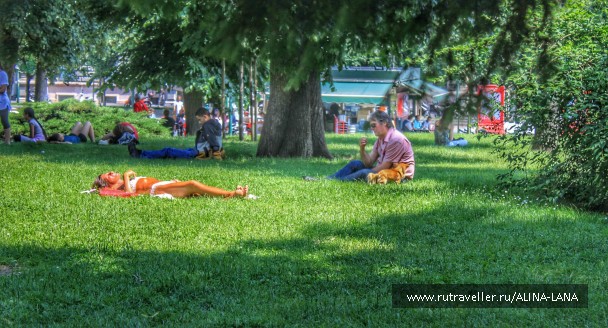 photo 1332622
