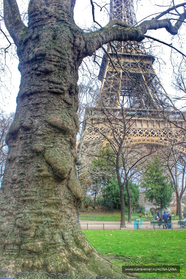 photo 1207420