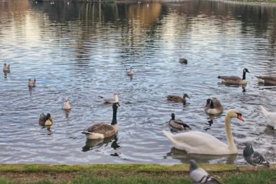 photo 1210144