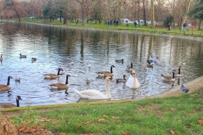 photo 1210146