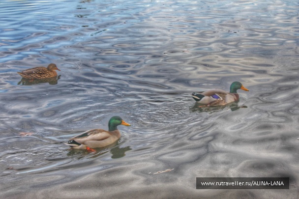 photo 1210148