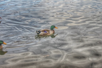 photo 1210149