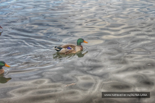 photo 1210149
