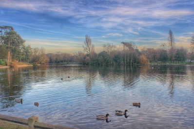 photo 1210150