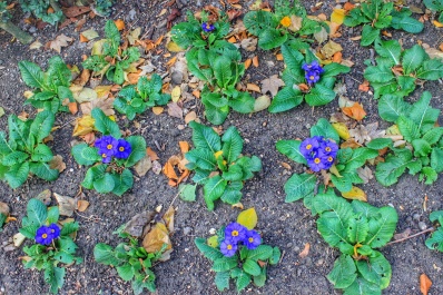 photo 1227221