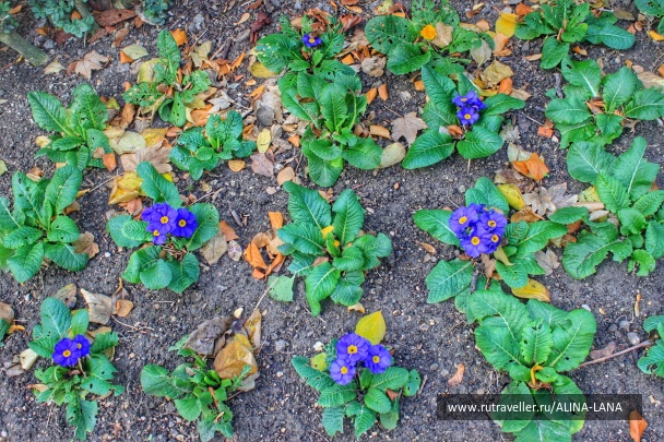 photo 1227221