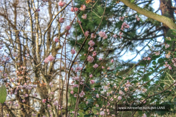 photo 1227222