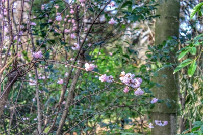 photo 1227223