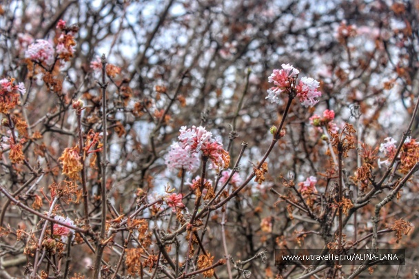 photo 1323548